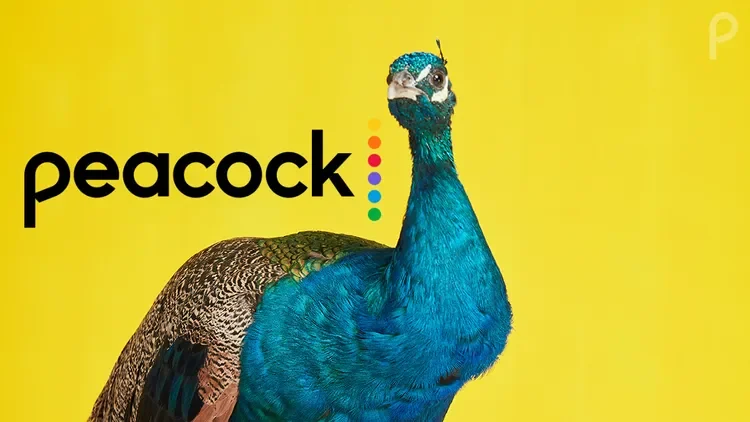 Visual for this record: A Peacock show found a second life as a ReelShort adaptation