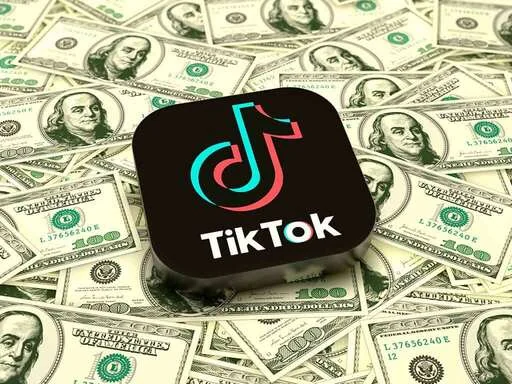 Visual for this record: TikTok let creators set a price but did not publish its own cut