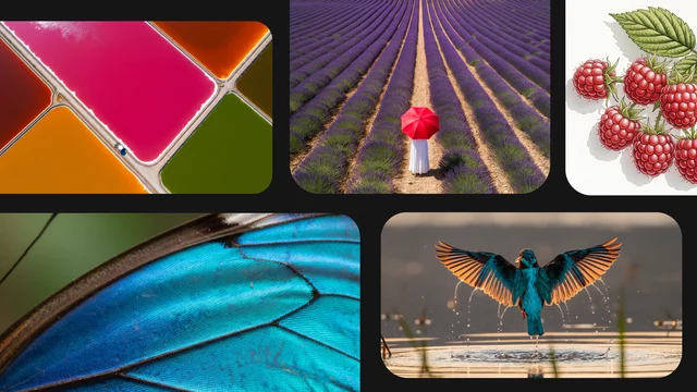 Google generative-media announcement collage: landscape, botanical illustration and bird